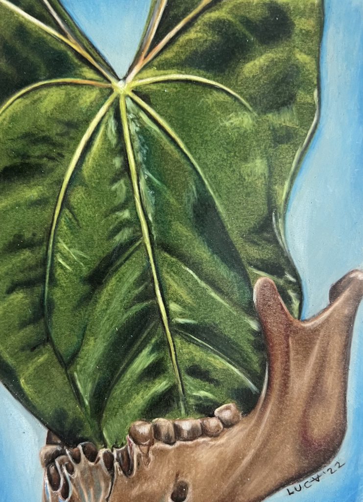 Painting of a large green leaf beside a pale animal jaw or skull.